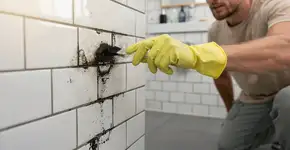 Foto: (Imagem sem texto alternativo disponivel ID [2730977])