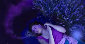 Foto: (draganab/istock)