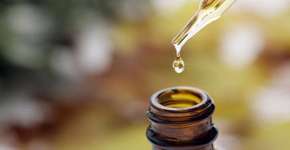 Foto: (Getty Images/iStockphoto)