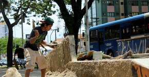 Skatistas se unem para revitalizar praça e pista de skate