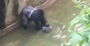 Foto: (Imagem sem texto alternativo disponivel ID [1087789])