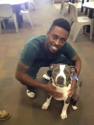 Todas as fotos: Reprodução Facebook