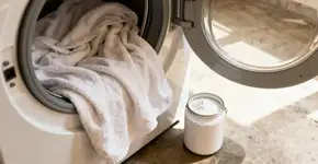 Foto: (Imagem sem texto alternativo disponivel ID [2677539])