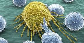 Foto: (Imagem sem texto alternativo disponivel ID [1834749])