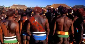 Lyra Latina encerra o Sesc Verão 2010