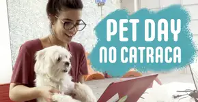 Cachorros no escritório melhoram o ambiente de trabalho