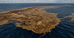 A “fita marrom” que agora pode ser vista do espaço continua a crescer no Atlântico, e os cientistas alertam que isso não é apenas mais uma mancha simples