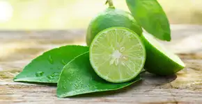 Limão: 10 benefícios impressionantes para a saúde e formas criativas de usá-lo