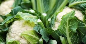 Foto: (Getty Images/iStockphoto)