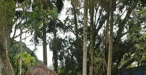 Feira Gaiola Atmosférica de junho celebra o mês do Meio Ambiente