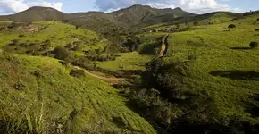 Foto: (Felipe Goifman)