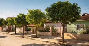 Foto: (Imagem sem texto alternativo disponivel ID [2686263])