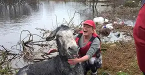 Foto: (Imagem sem texto alternativo disponivel ID [1005044])