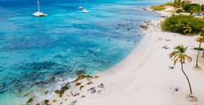 Foto: (fokkebok/iStock)