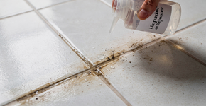 Foto: (Imagem sem texto alternativo disponivel ID [2735137])