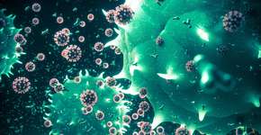 Foto: (4X-image/istock)