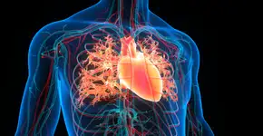 Foto: (magicmine/iStock)