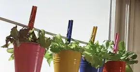 11 criativos e simples jardins vertificais