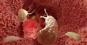 Foto: (aamine29000/DepositPhotos)