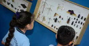 Foto: (Foto: Divulgação.)