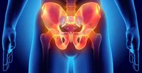 Síndrome de sereia é distúrbio raro e fatal na maioria dos casos