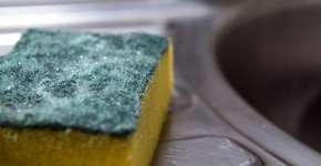 Foto: (RightOne/istock)