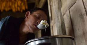 Foto: (Imagem sem texto alternativo disponivel ID [1834105])