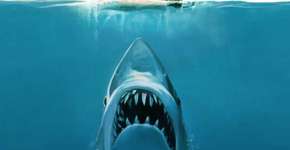 Foto: (Divulgação)