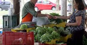 Foto: (Imagem sem texto alternativo disponivel ID [1865793])