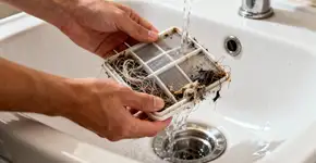 Foto: (Imagem sem texto alternativo disponivel ID [2674132])