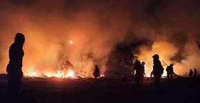 Pantanal registra recorde mensal de focos de incêndio na história