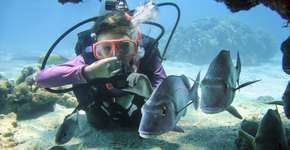 Foto: (Getty Images/iStockphoto)