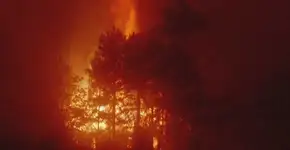 As 7 melhores propagandas com temática ambiental em 2017