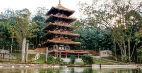 Foto: (Imagem sem texto alternativo disponivel ID [2250974])