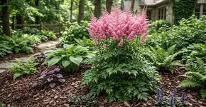 Foto: (Imagem sem texto alternativo disponivel ID [2766657])