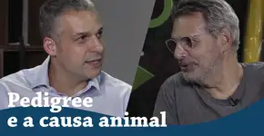 Como a Pedigree atua na causa animal