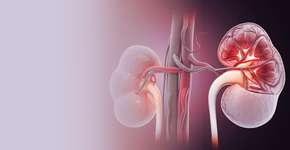 Foto: (Mohammed Haneefa Nizamudeen/istock)