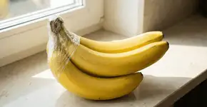 Foto: (Imagem sem texto alternativo disponivel ID [2755088])