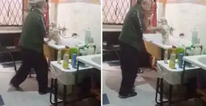Dono de pet shop é filmado dançando com cão enquanto lhe dá banho
