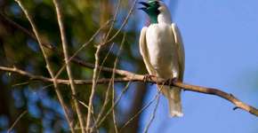 Foto: (Jefferson Leite)