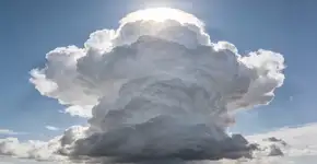 Foto: (Imagem sem texto alternativo disponivel ID [2704422])