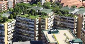 Foto: (Imagem sem texto alternativo disponivel ID [1603061])