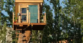 Foto: (Marc Bruxelle/iStock)