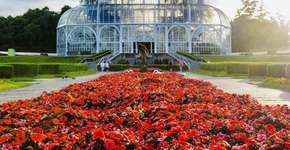 Foto: (wsfurlan/iStock)