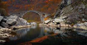 Foto: (Imagem sem texto alternativo disponivel ID [1394234])