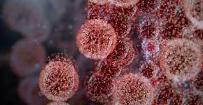 OMS: variante Ômicron se espalha em velocidade sem precedentes