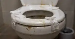 Muitas pessoas ainda não entendem por que não se deve limpar o assento do vaso sanitário com papel higiênico