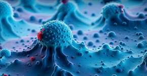 Foto: (iStock/koto_feja)