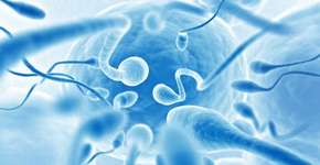 App promete contagem de espermatozoides através do celular