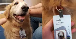 Cão-guia recebe crachá de funcionária de banco e post viraliza